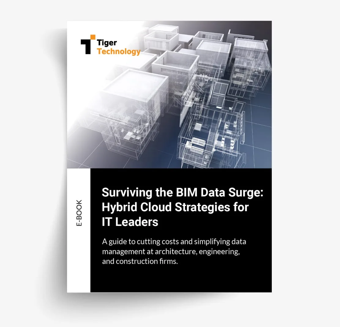 Surviving the BIM Data Surge — eBook cover