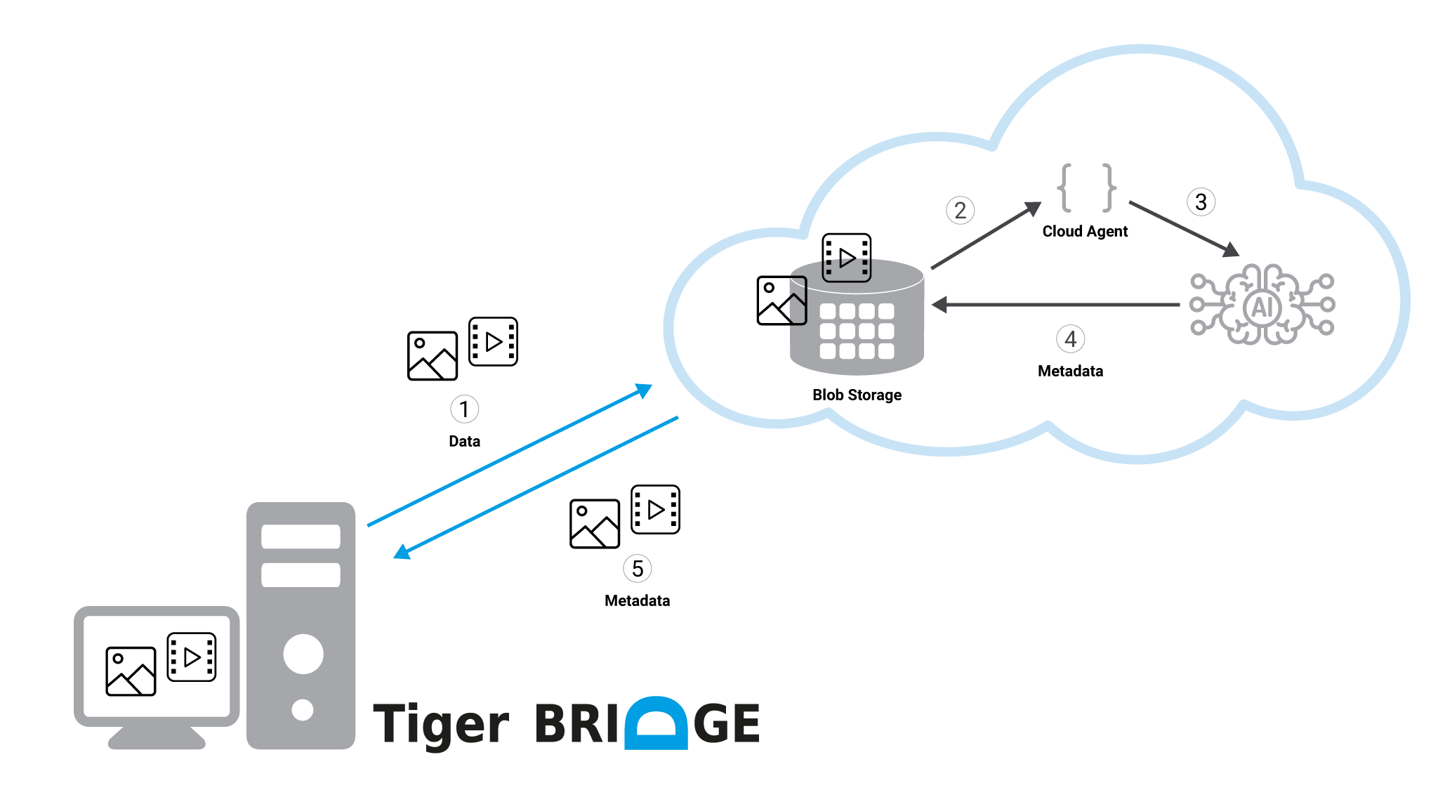 Connecting to Cloud AI Service